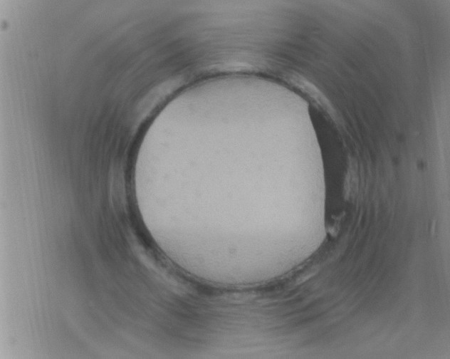 X0000075890482200610151755