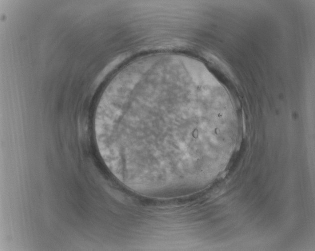 X0000075890483200610151755