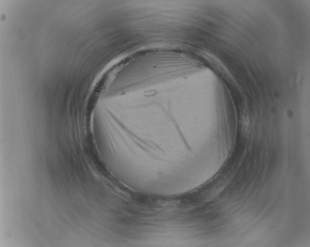 X0000075890484200610151755