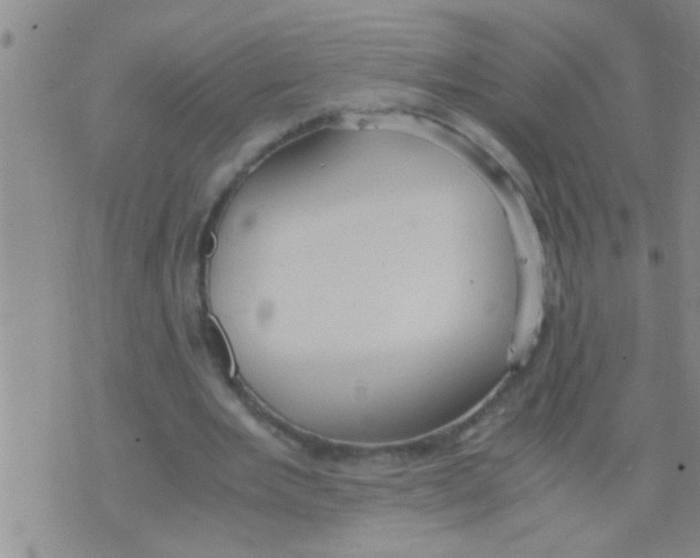 X0000075890485200610151755