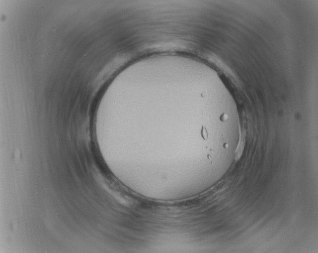 X0000075890486200610151755