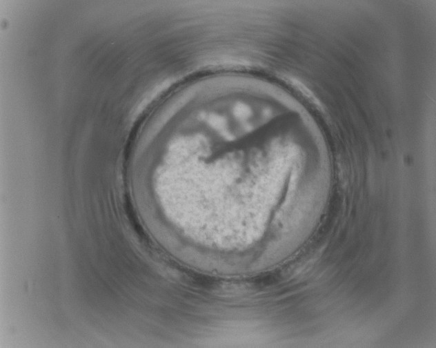 X0000075890487200610151755