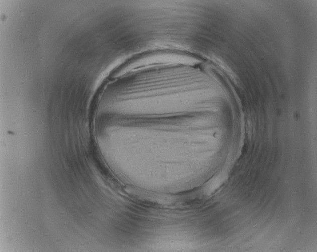 X0000075890488200610151755