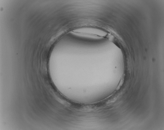 X0000075890489200610151755