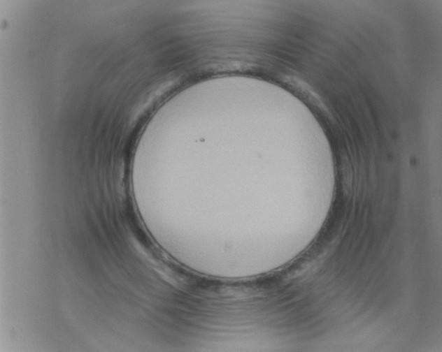 X0000075890490200610151755