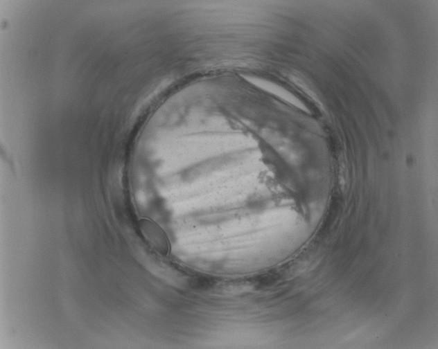 X0000075890491200610151755