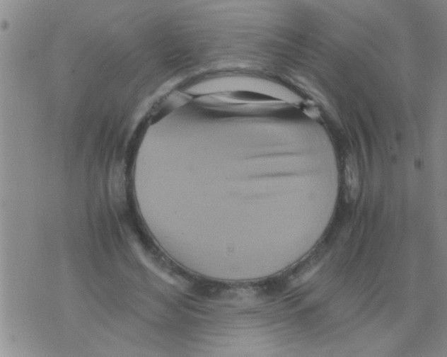 X0000075890492200610151755