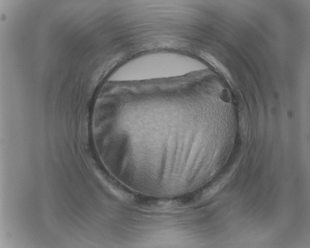 X0000075890493200610151755