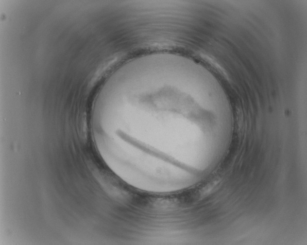 X0000075890494200610151755