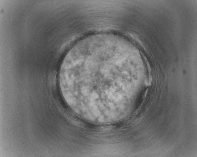 X0000075890495200610151755