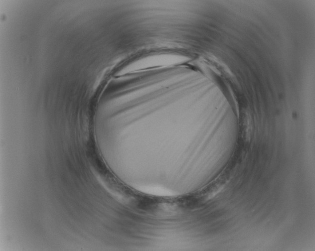 X0000075890496200610151755