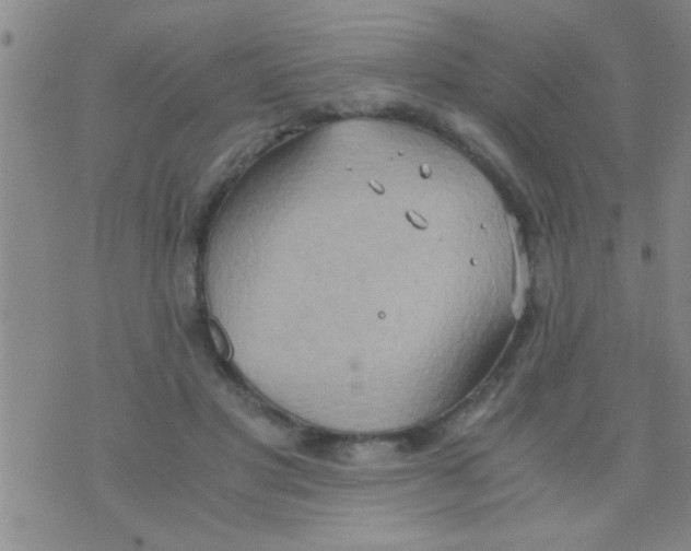 X0000075890501200610151755