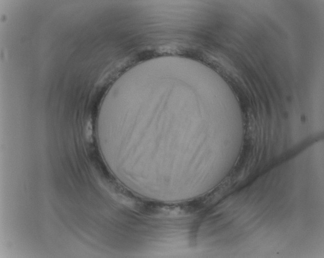 X0000075890502200610151755