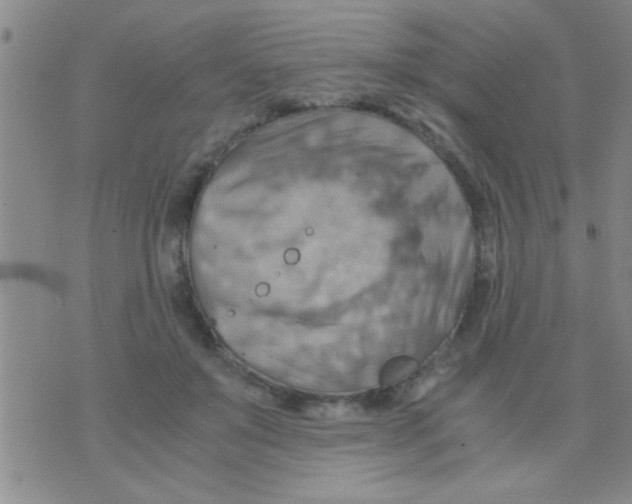 X0000075890503200610151754