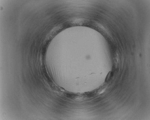 X0000075890504200610151754