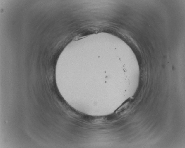 X0000075890505200610151754