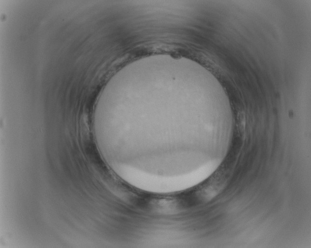 X0000075890506200610151754