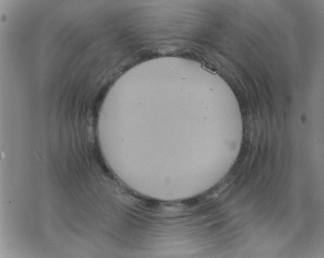 X0000075890510200610151754