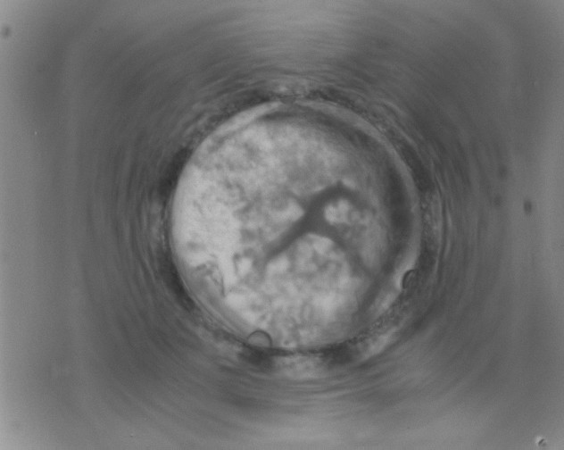 X0000075890511200610151754