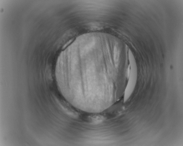 X0000075890512200610151754