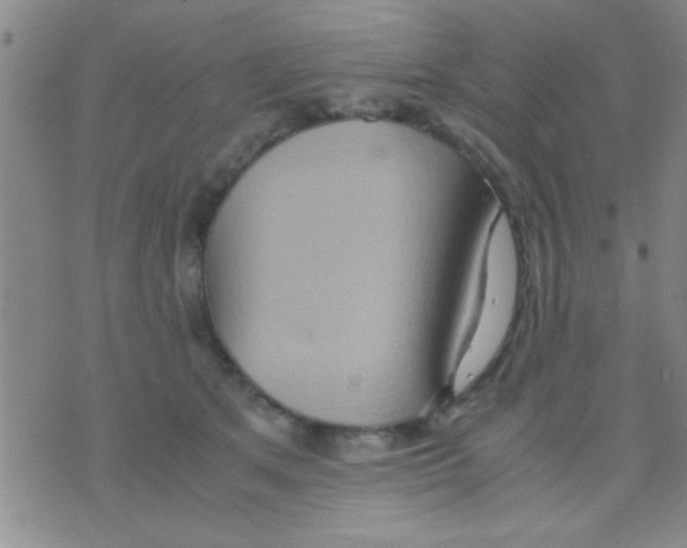 X0000075890513200610151754