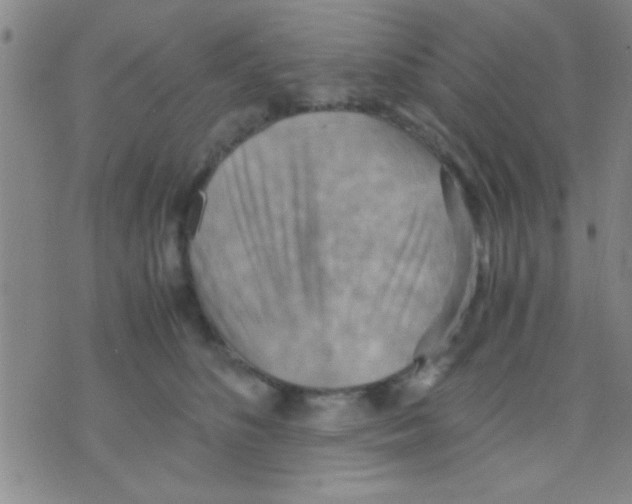 X0000075890516200610151754