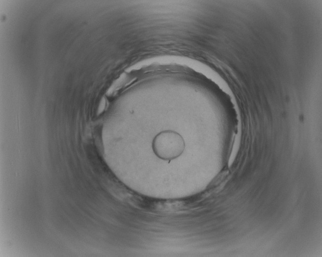 X0000075890517200610151754