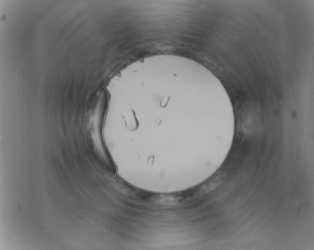 X0000075890518200610151754