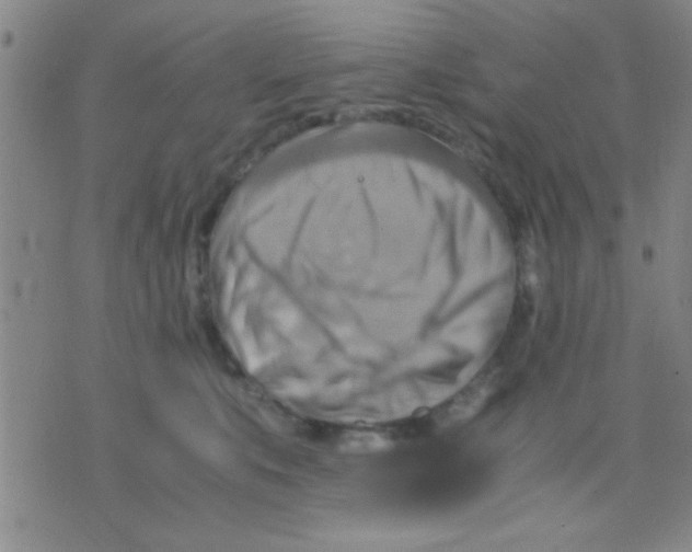 X0000075890519200610151754