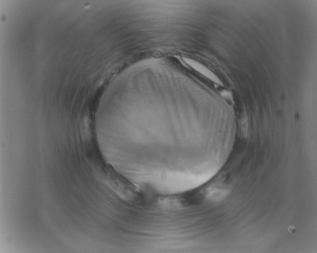 X0000075890520200610151754