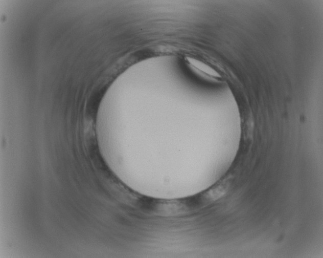 X0000075890521200610151754