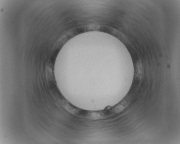 X0000075890522200610151754