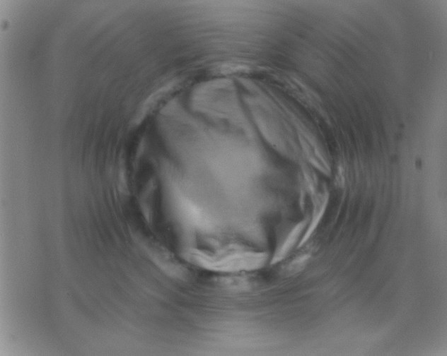 X0000075890524200610151754