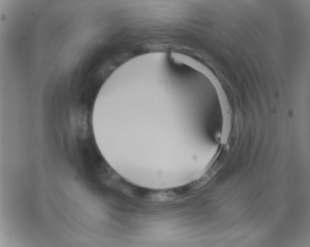 X0000075890525200610151754