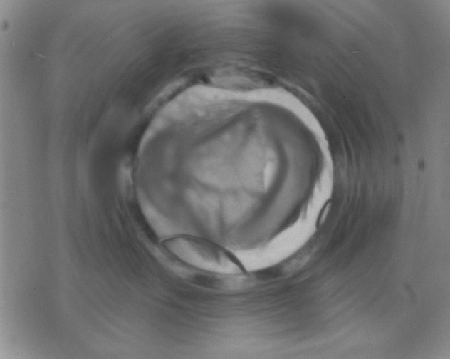 X0000075890527200610151754