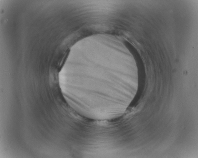 X0000075890528200610151754