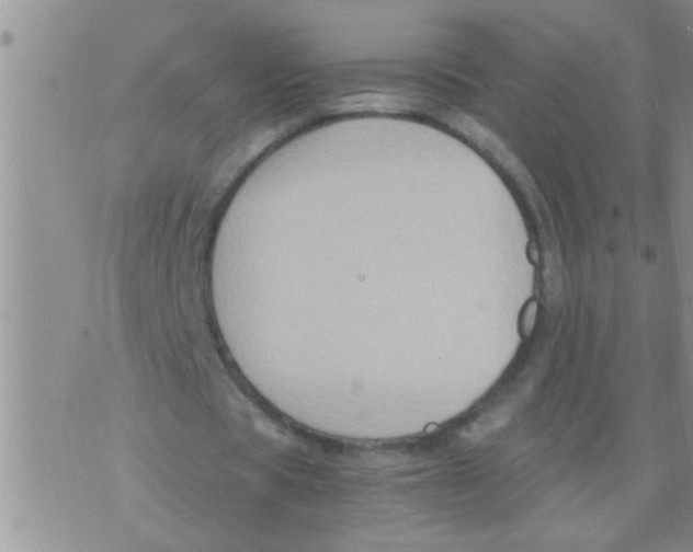 X0000075890529200610151753