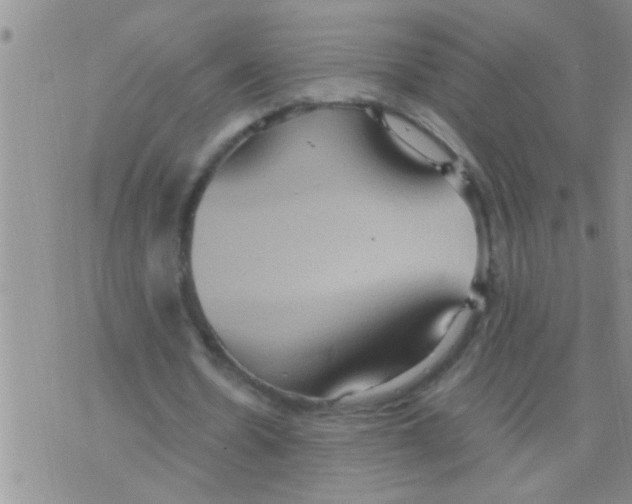 X0000075890530200610151753