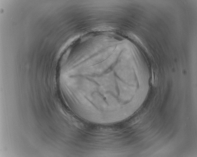 X0000075890531200610151753