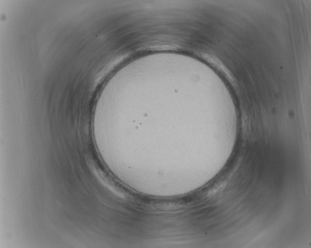 X0000075890533200610151753