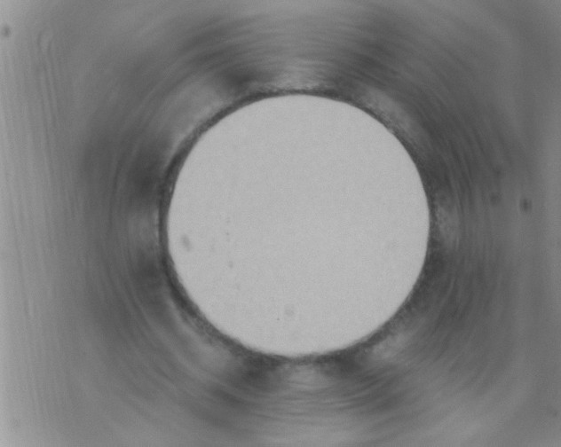 X0000075890534200610151753