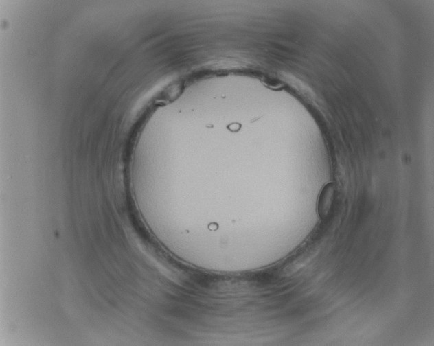 X0000075890535200610151753