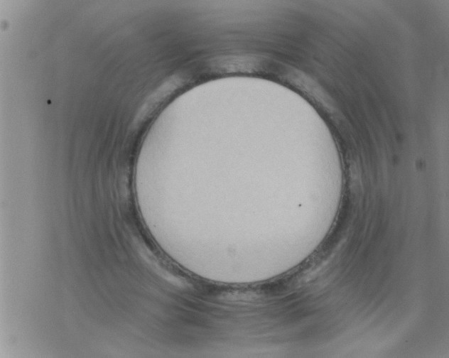 X0000075890537200610151753