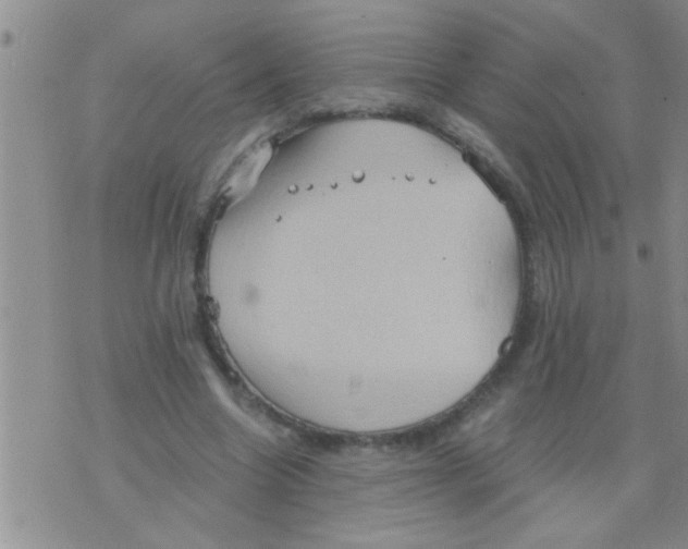 X0000075890538200610151753