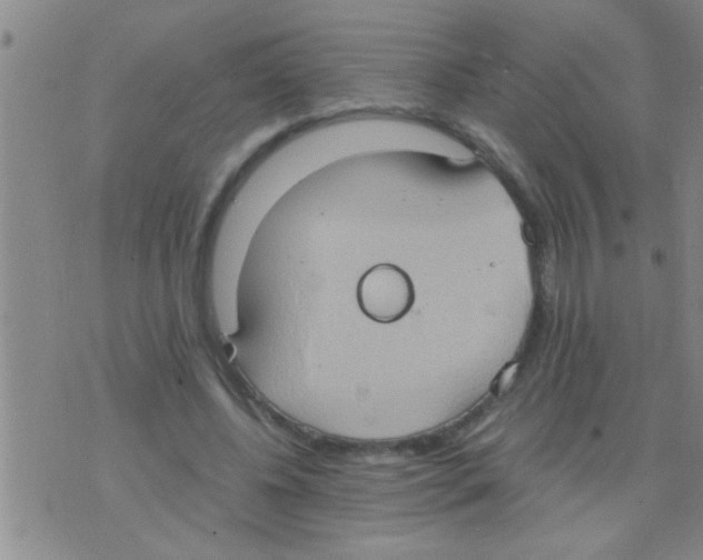 X0000075890540200610151753