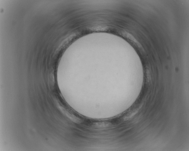 X0000075890541200610151754