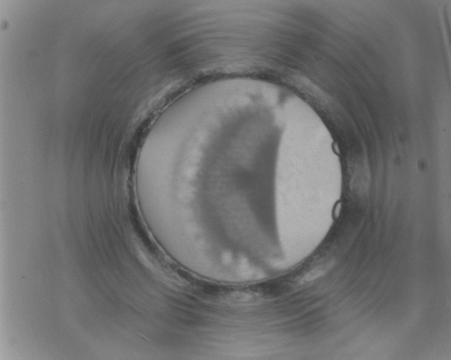 X0000075890542200610151754