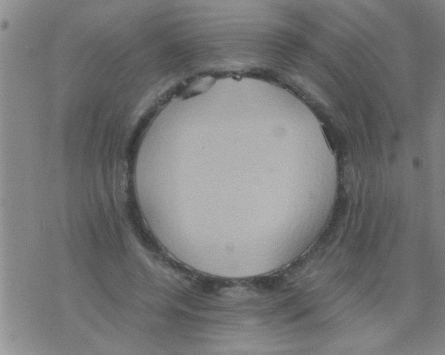 X0000075890544200610151754