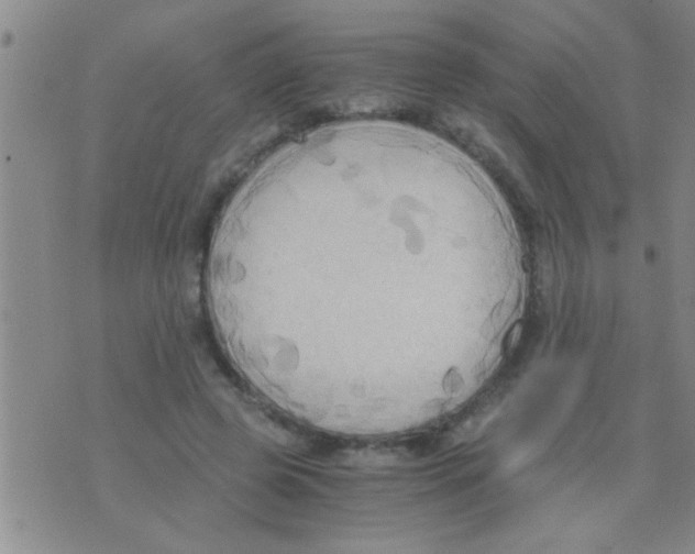 X0000075890545200610151754