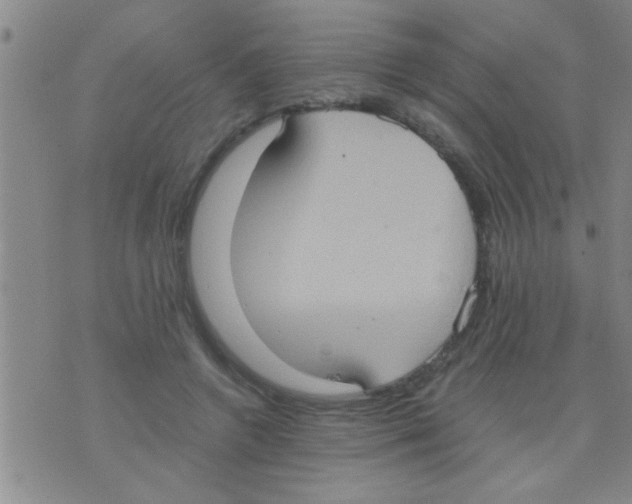 X0000075890546200610151754